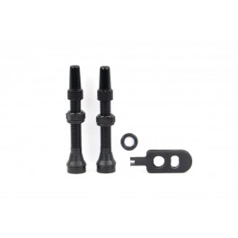 Válvula Tubeless Gurpil...