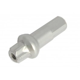 Cabecilla Radio Dt Swiss...