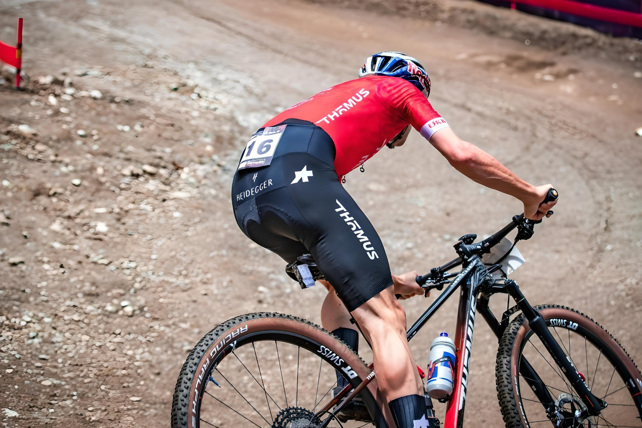 Guía de sillines de MTB