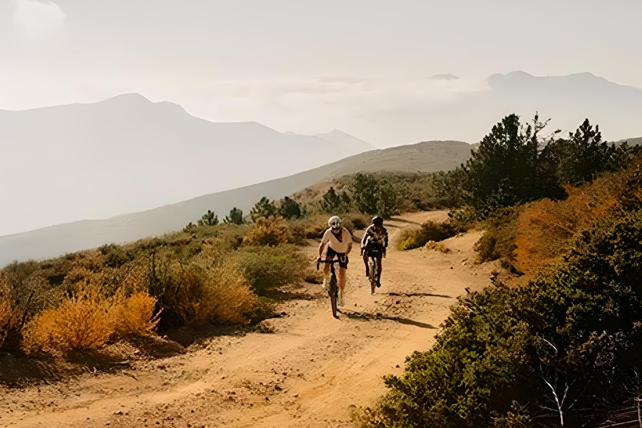 Guía de sillines de MTB