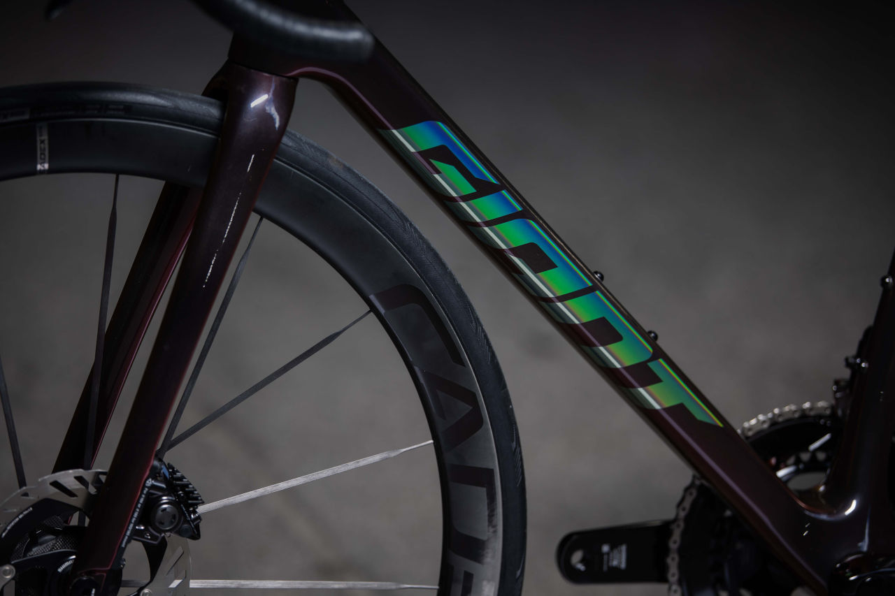 Conoce la última generación de la Giant TCR 2025